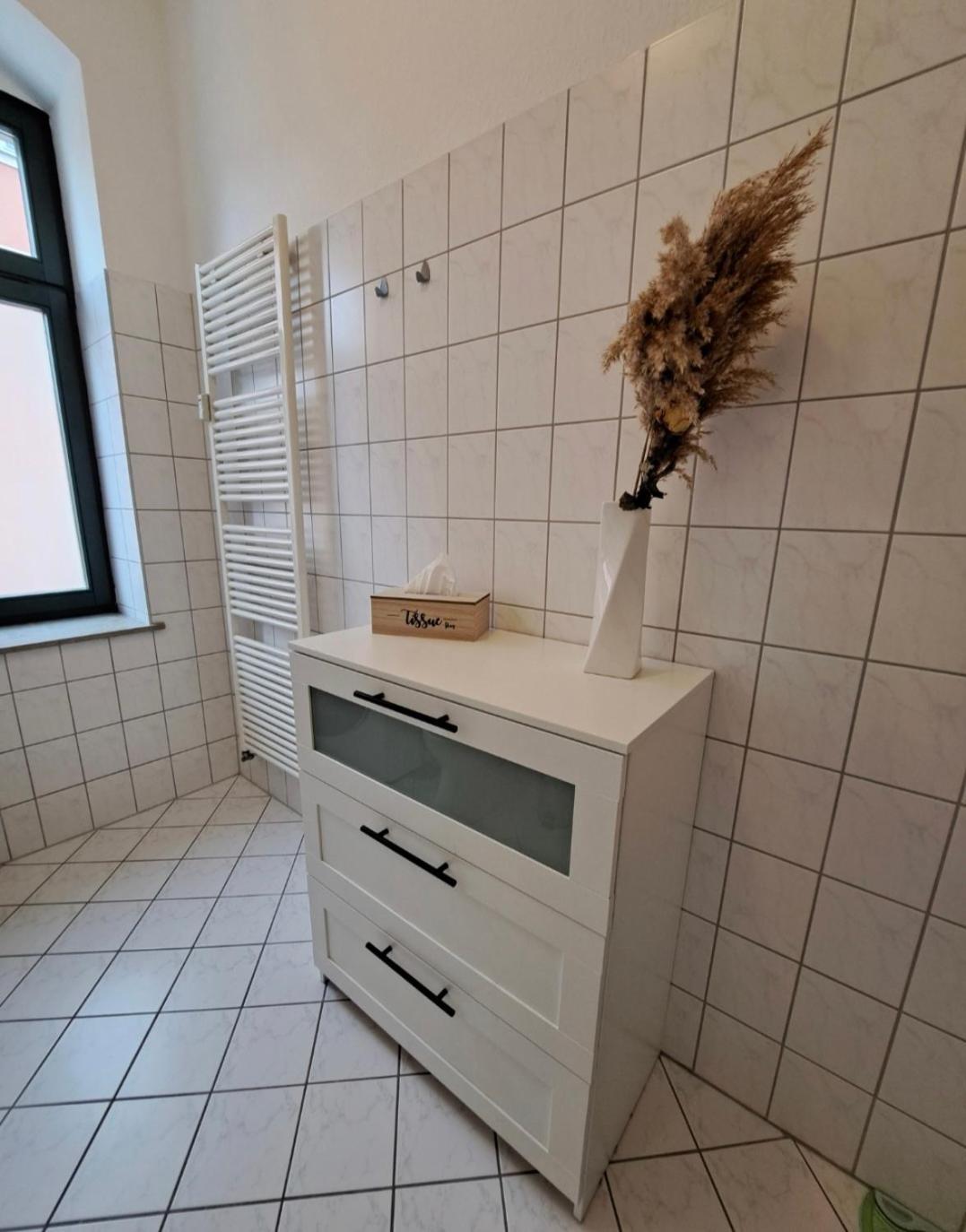 Stilvolle Ferienwohnung Dresden Eksteriør bilde